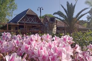 Alojamiento - Rio Hotel Laura