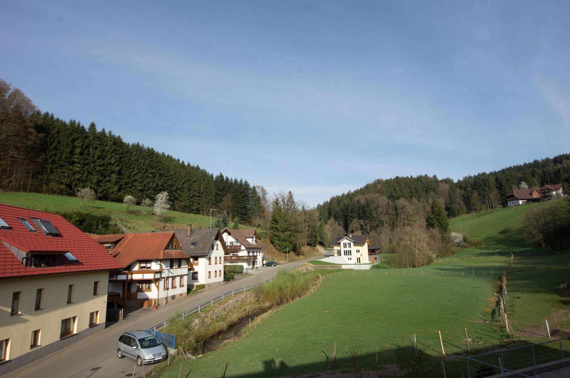 Vista Exterior Gasthof Hirschen-Dorfmühle
