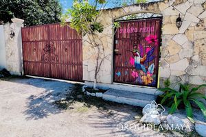 Alquiler Vacacional - Cottage / House with Pool in the mayan jungle & tree house- 2 miles from beach.