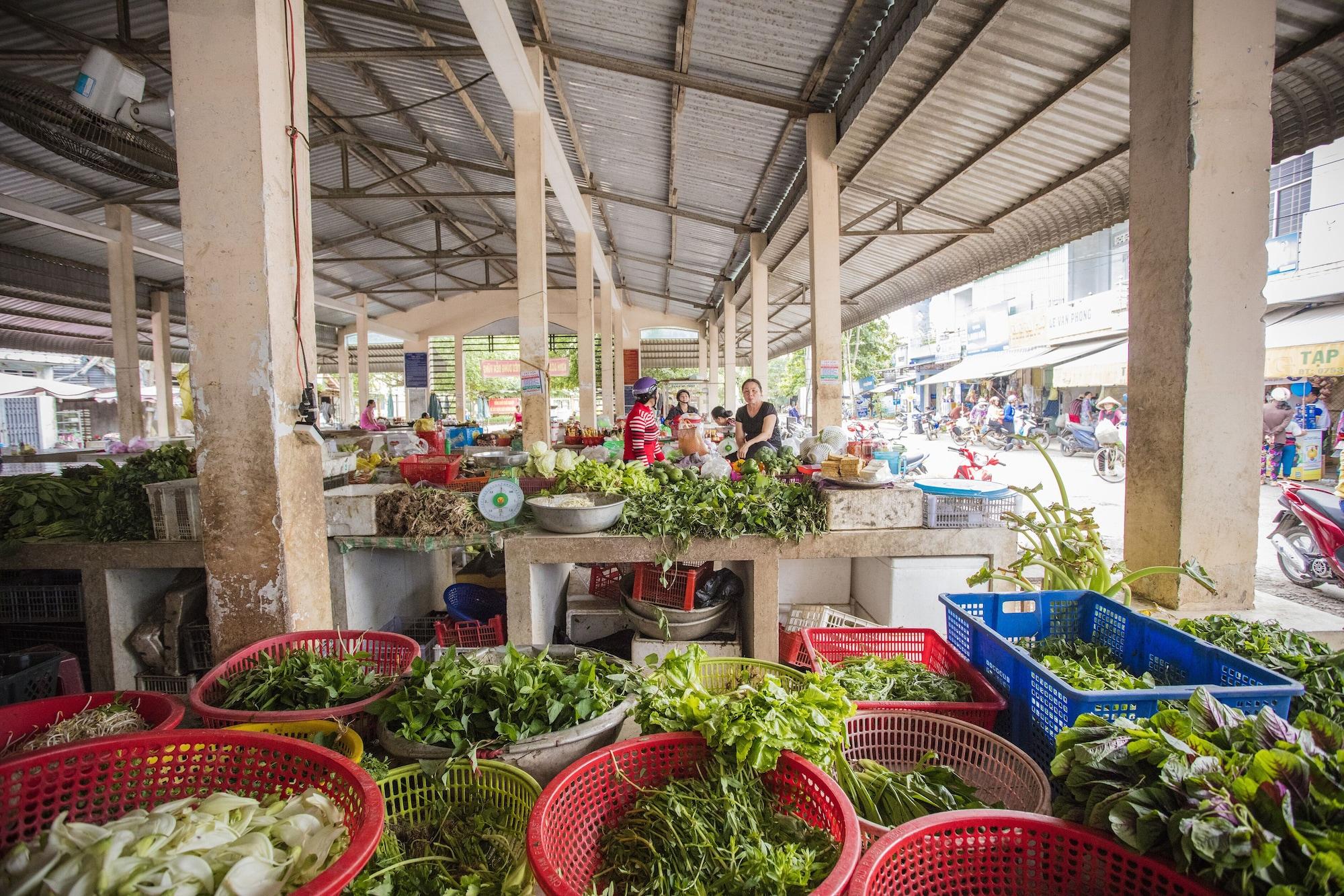 Varios Mekong Home
