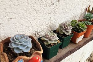 Alojamiento - Cermeños House