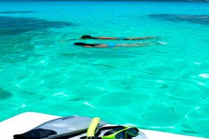 Actividad - Playa de Maragogi - Alagoas (Salida de Porto de Galinhas)