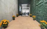 Colmena Hotel CDMX Tonala
