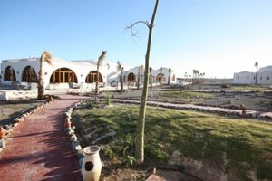 Alojamiento - BeachSafari Resort