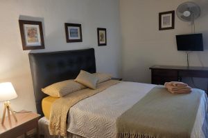 Alojamiento - Hotel Ateneo