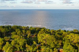 Actividad - Tour de 2 o 3 días por el Parque Nacional Tortuguero