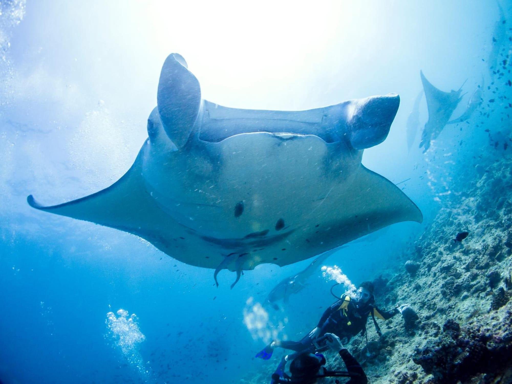 Gimnasio TME Retreats Dhigurah