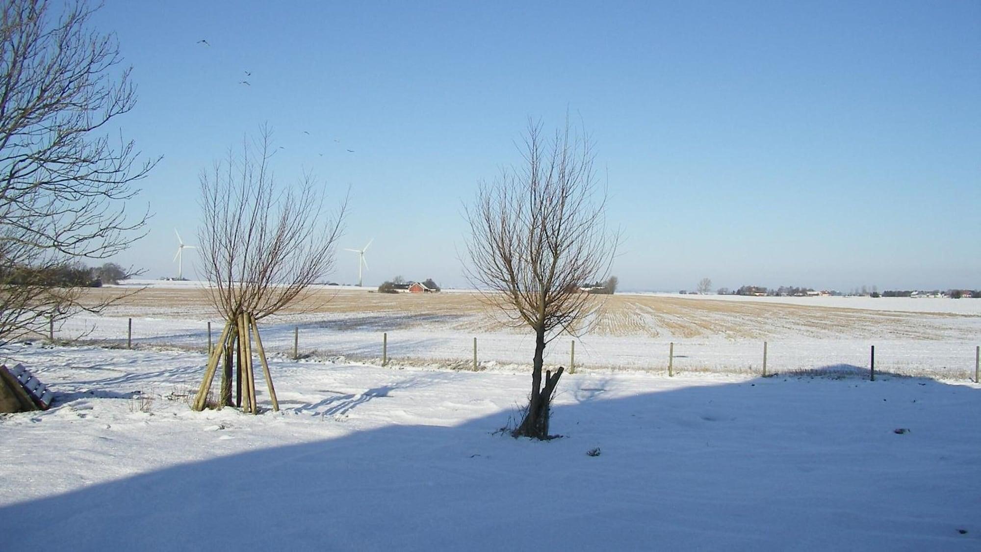 Comodidades del Alojamiento Hobykrok B&B