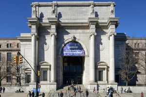 Actividad - Museo Americano de Historia Natural - Entrada