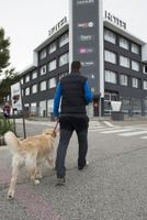 Alojamiento - Hotel Luze El Villa