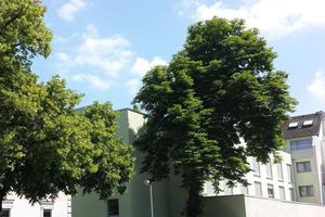Alojamiento - ante porta Das Stadthotel