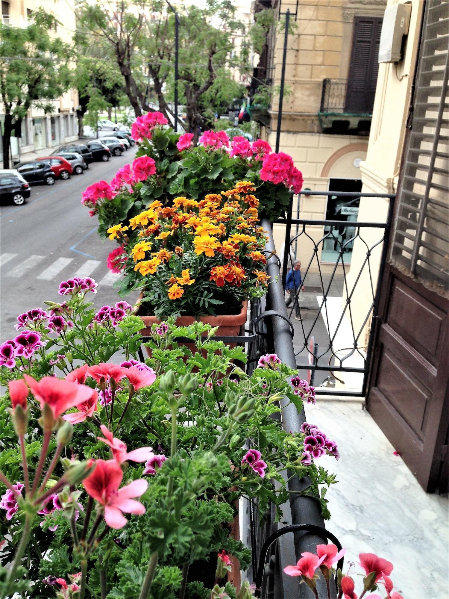 Vista Exterior A Casa di Amelie