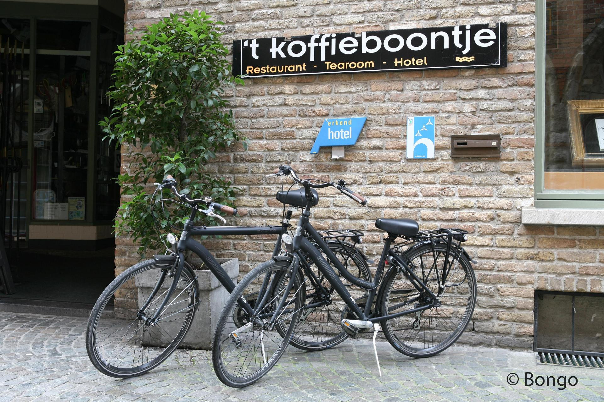Instalaciones Recreativas Hotel Koffieboontje