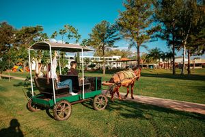 Alojamiento - Awa Resort Hotel