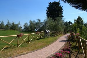 Alojamiento - Fattoria di Colleoli