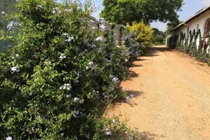 Alojamiento - Blue Mango Lodge