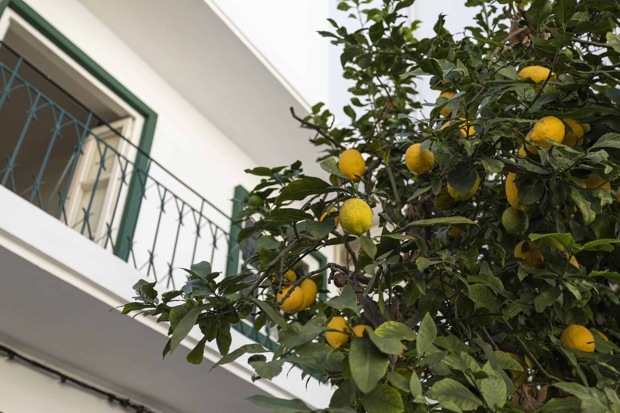 Vista Exterior Lemon Hostel Faro