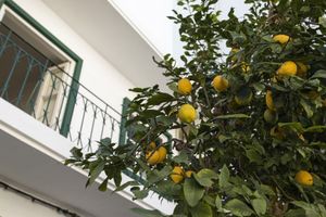 Alojamiento - Lemon Hostel Faro