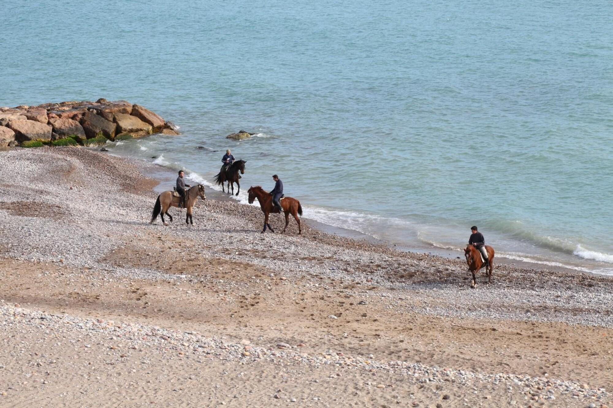 Playa Pensión Tere Playa