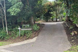 Alojamiento - Atherton Blue Gum