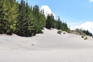 Actividad - Excursión al desierto de Palmira y lagunas de Altillo