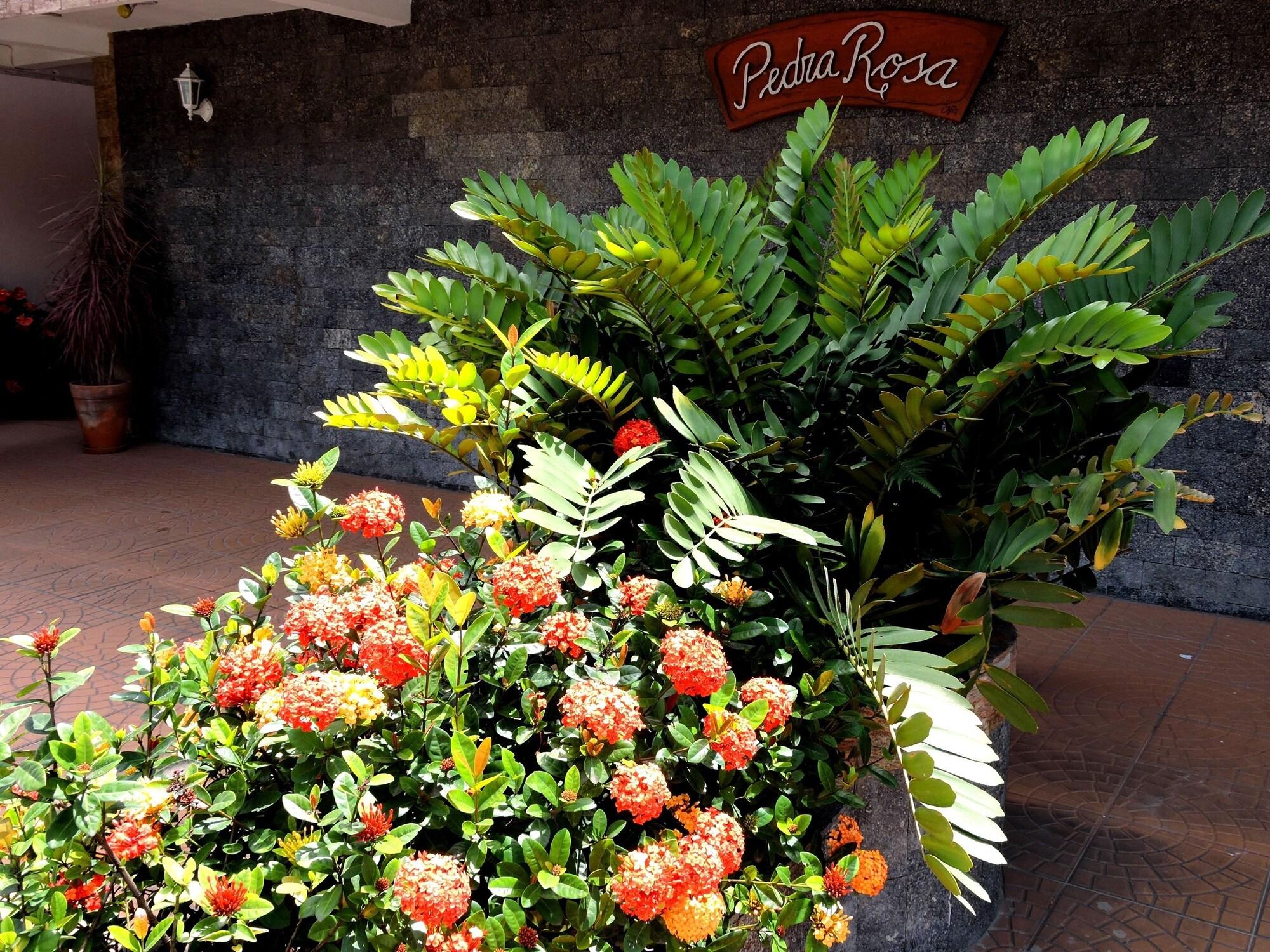 Vista Lobby Pousada Pedra Rosa