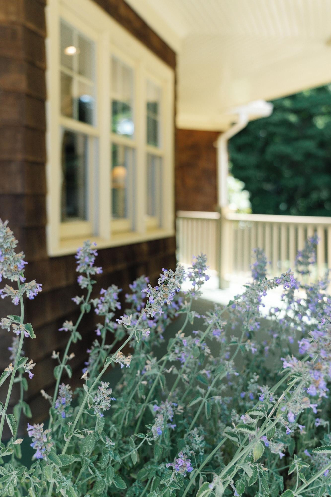 Vista Exterior The Sagaponack