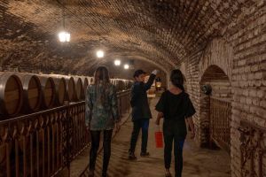 Actividad - Tour Nocturno Concha y Toro Casillero del Diablo con Degustación de vinos y Cena