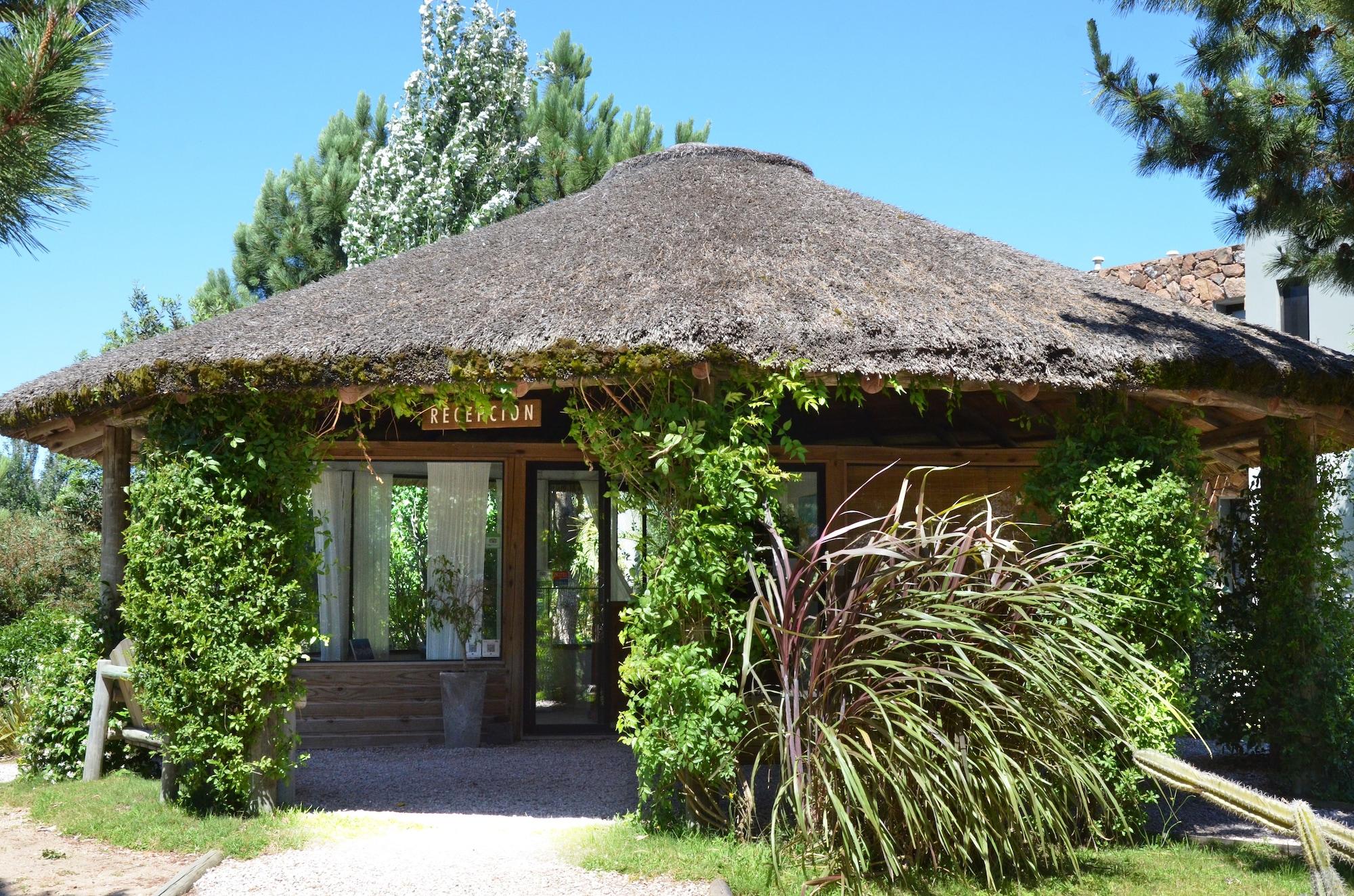 Vista Lobby Casa Suaya