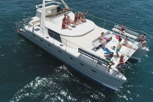 Actividad - Tour de avistamiento de ballenas y delfines con bufé