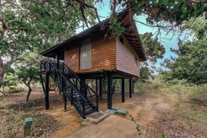 Alojamiento - Cinnamon Wild Yala