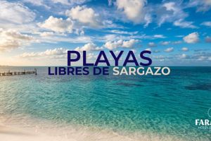 Alojamiento - Hotel Dos Playas Faranda Cancún