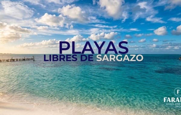 Hotel Dos Playas Faranda Cancún - Hoteles cerca de Coco Bongo en Cancún