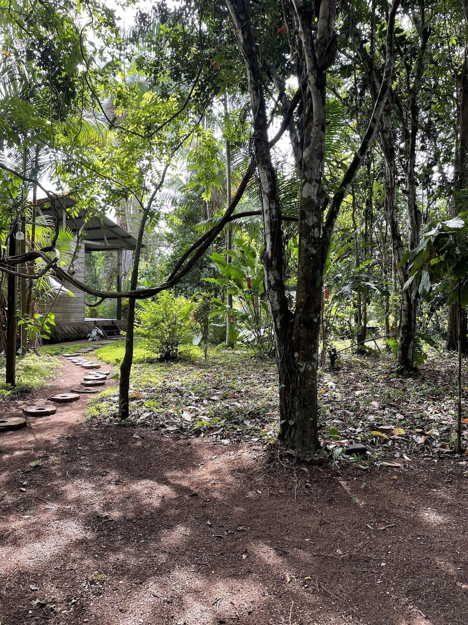Vista Exterior Amazonian Oropendola & tambopata