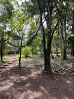 Alojamiento - Amazonian Oropendola & tambopata