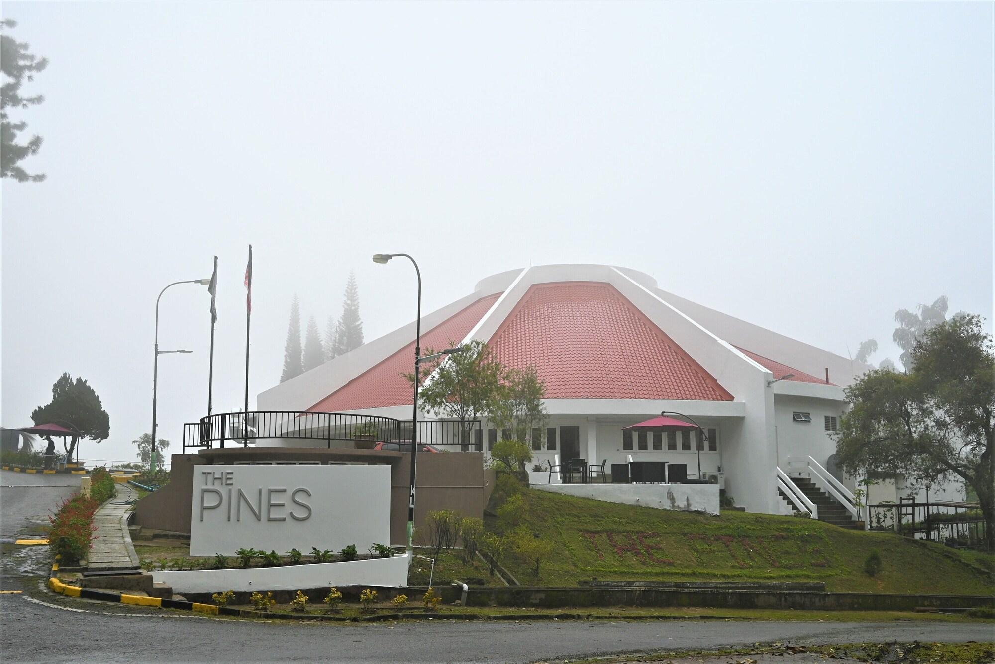Varios The Pines