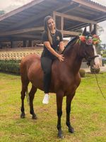 Alojamiento - Hotel El Cielo en la Tierra