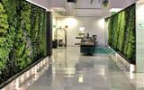 Holiday Inn Zona Centro by IHG