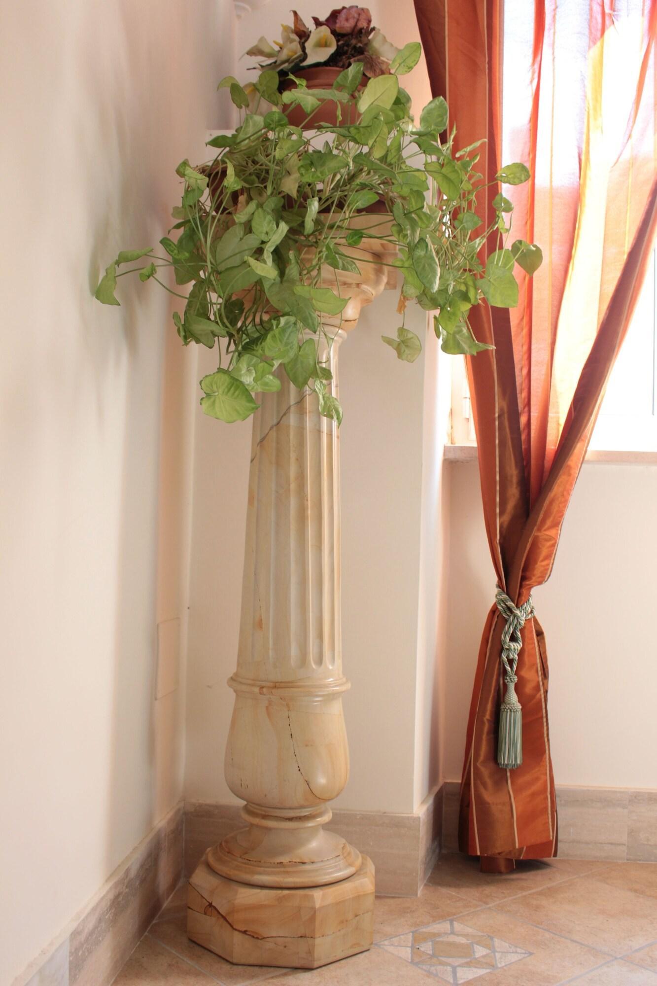 Vista Lobby Ianus Guest House