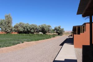 Alojamiento - Eltoconar atacama