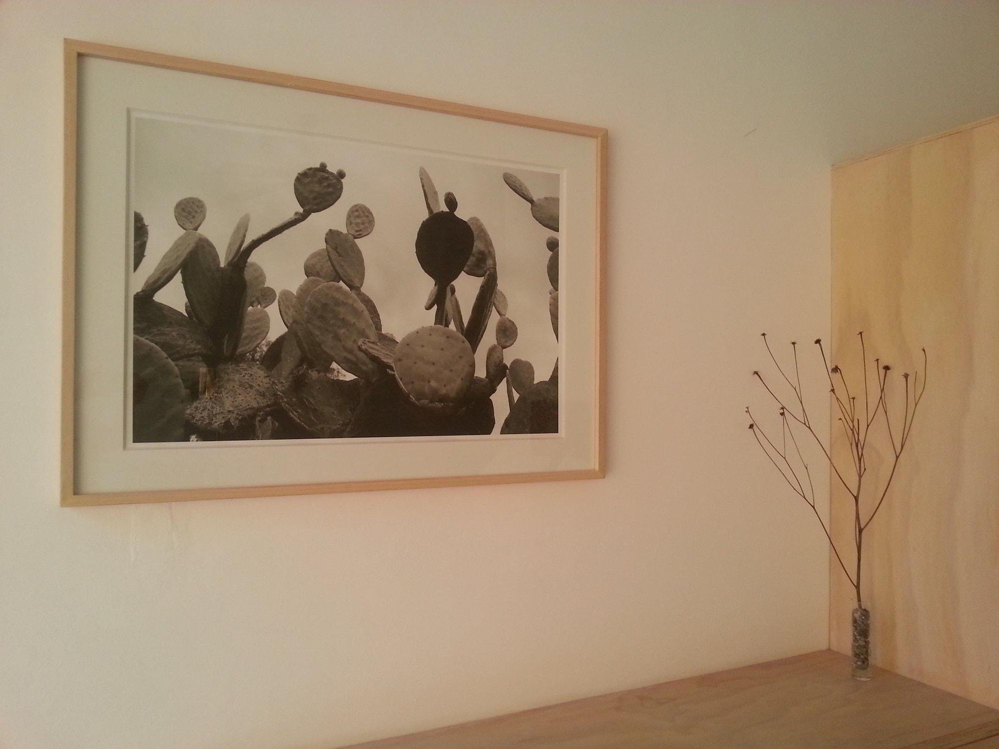 Set de Habitación Hotel Cosijo