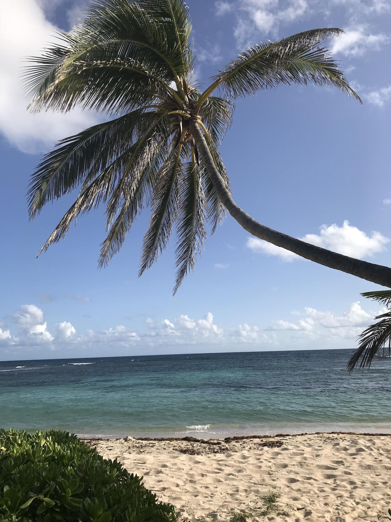 Playa The Palms at Pelican Cove