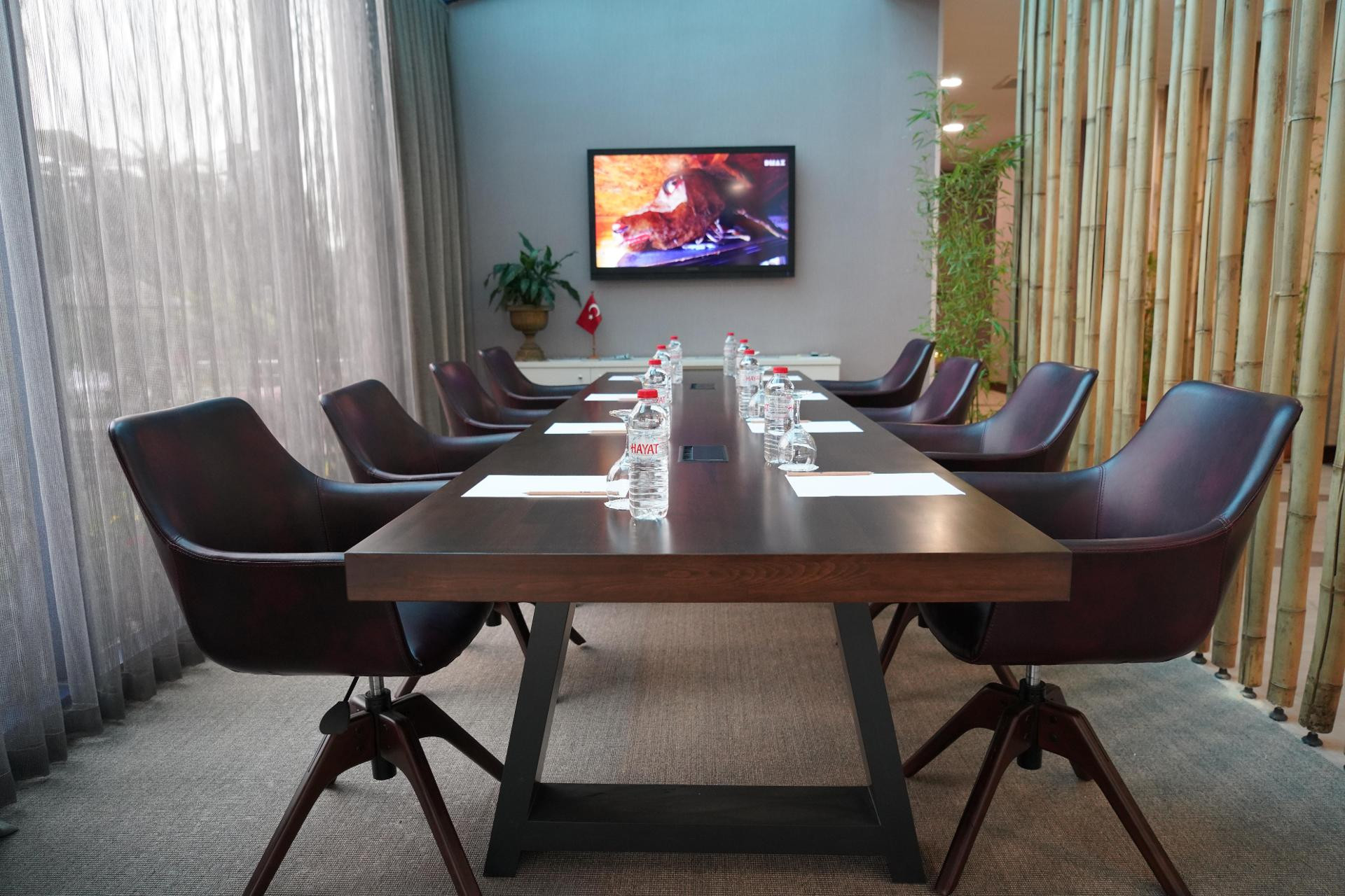 Centro de Negocios Elegance Resort Yalova