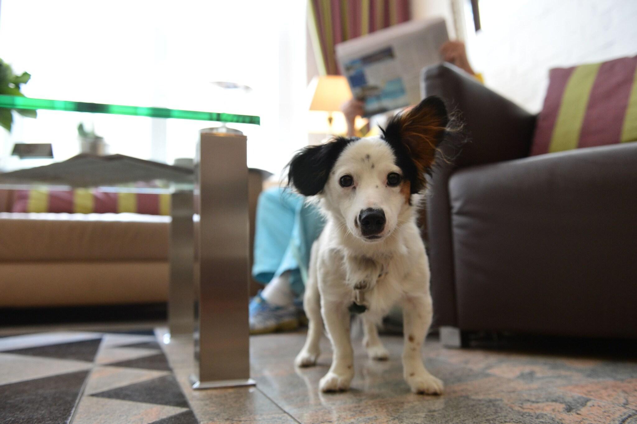 Instalaciones Recreativas Fruehlings Hotel