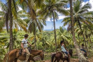 Actividad - Descubriendo Samana Tour desde Punta Cana