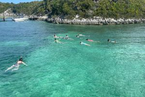 Actividad - Snorkel por las Bahamas desde Bayshore Marina
