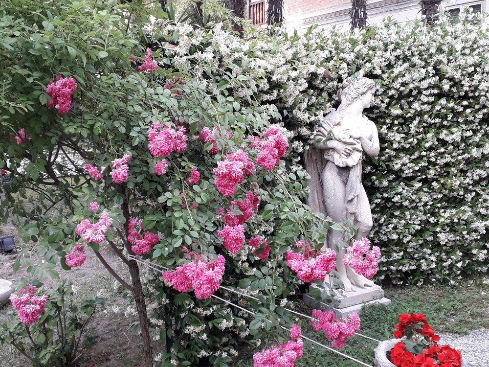 Hotel Hotel Villa Delle Palme