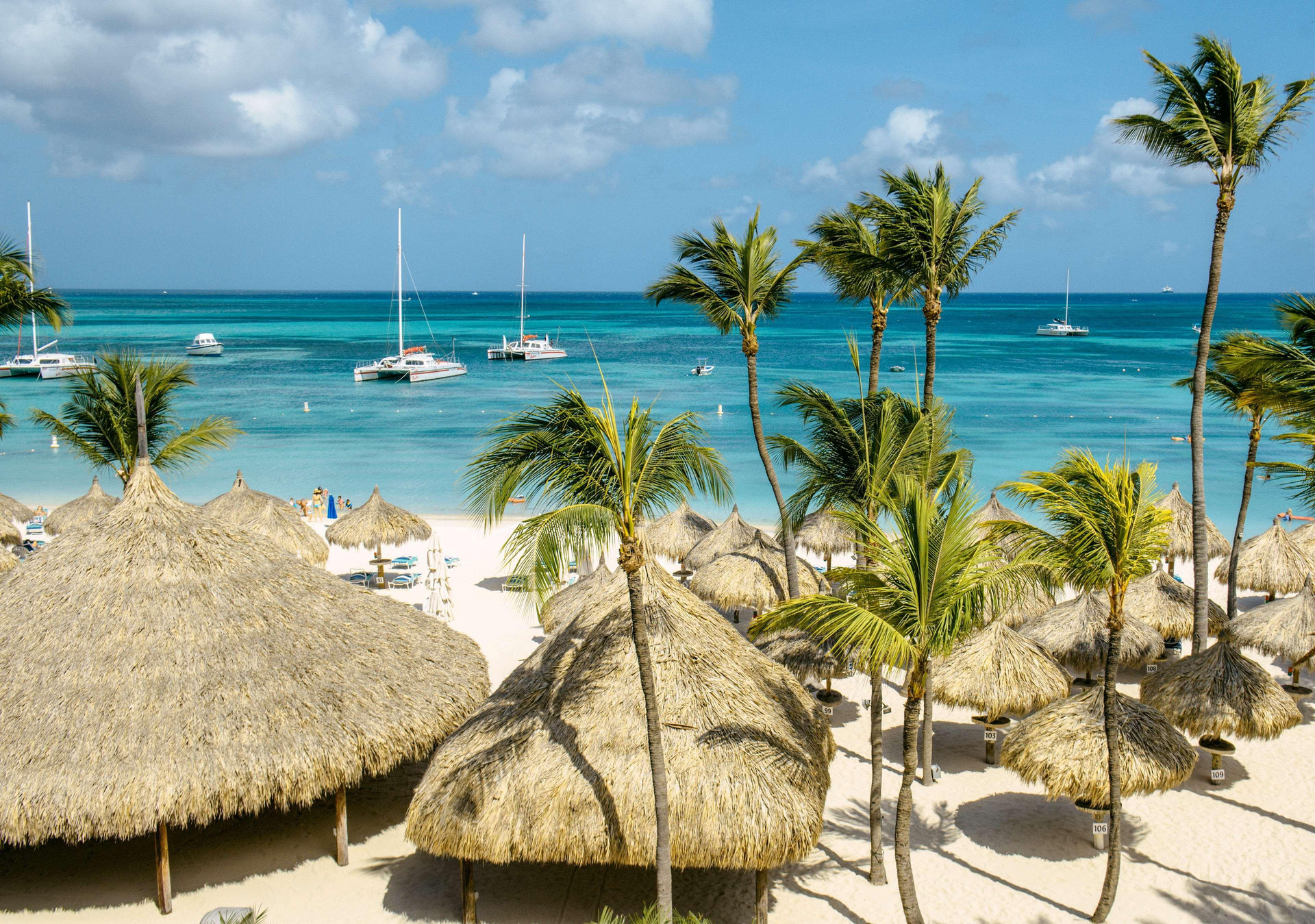Playa Hyatt Regency Aruba Resort and Casino
