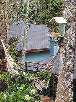 Alojamiento - Pousada Gressoney Mountain