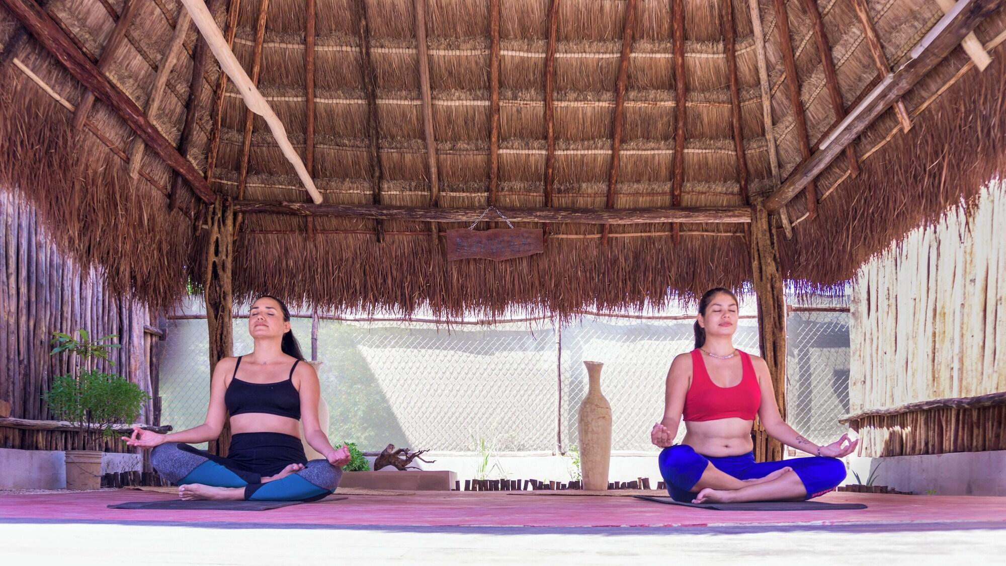 Gimnasio Jungla & Estrellas